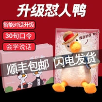 Genuine mutual rattling sound Net red duck refueling sand sculpture repeat Duck dolls learn to talk toys can talk