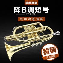 Renaston cornet trumpet instrument B-down professional cornet instrument Brass instrument beautiful tone