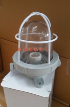 Marine incandescent canopy light CCD1-2A plastic watertight light 220V60W waterproof deck warehouse lighting emergency