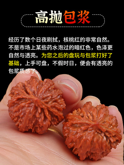 Wenwan 호두 작은 손 트위스트 가을 어린이 작은 손 핸들 미니 호두 놀이 손가락 남자 손 놀이 Wenwan 호두 작은 손 트위스트 가을 어린이 작은 손 핸들 미니 호두 놀이 손가락 남자 손 놀이