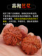 Wenwan 호두 작은 손 트위스트 가을 어린이 작은 손 핸들 미니 호두 놀이 손가락 남자 손 놀이 Wenwan 호두 작은 손 트위스트 가을 어린이 작은 손 핸들 미니 호두 놀이 손가락 남자 손 놀이