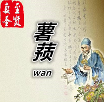 (True to the sage) Doctors customized version of Dioscorea wan