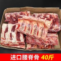 40kg imported waist spine free substitute cut spine with beef beef bone beef beef soup noodle restaurant beef frozen beef