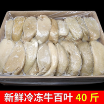 40 Jin domestic beef leaves fresh frozen raw tripe tripe hotel hot pot restaurant commercial beef