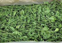 21 years spot new alfalfa grass Chinchilla rabbit Dutch pig Hay gross weight 1kg rabbit grain