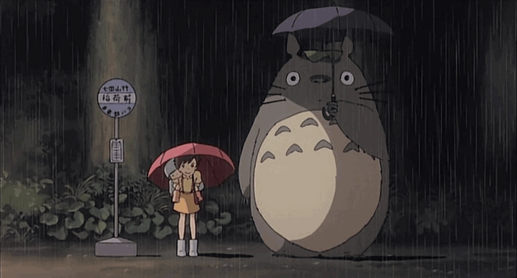 正品宫崎骏龙猫晴雨伞长柄双层超强防雨伞折叠防晒伞创意动漫伞