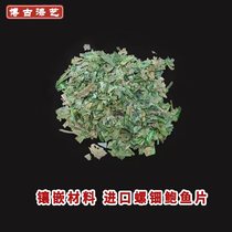 New Zealand Abalone Flake 5 gr Spirotian Imported Shell Sheet Lacquered Lacquered Lacquer Mosaic Material Lacquered supplies