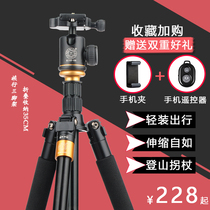 Lightweight era Micro-lens mirrorless camera tripod Lightweight photography Camera tripod Selfie mobile phone live broadcast stand
