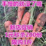 农家胡萝卜非转基因小胡萝卜新鲜蔬菜500g