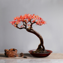 Indoor simulation bonsai new Chinese style red maple leaf plant living room hotel home soft decorations desktop potted ornaments
