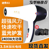 Dishow D2 Electric Blow High Power Home Hairdresshop Special Blue Light Negative Ion Hair Care Silent Professional Blow Cylinder