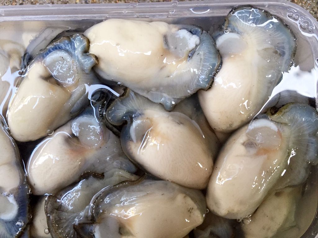 海鲜当天现剥生蚝肉新鲜水产品野生鲜活牡蛎肉生蚝海蛎子250g汫洲
