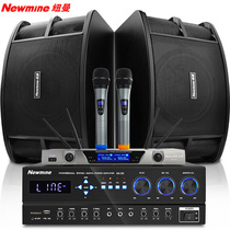 Newman KW230 home theater KTV audio set meeting k song microphone Bluetooth amplifier speaker 10 inch