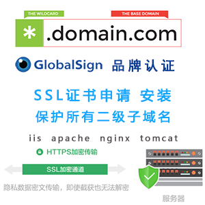 Globalsign SSL wildcard generic domain name HTTPS certificate application supports ios WeChat applet