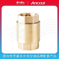 ANCOOL Vertical brass check valve Check valve Check valve Stainless steel spring DN15~DN50