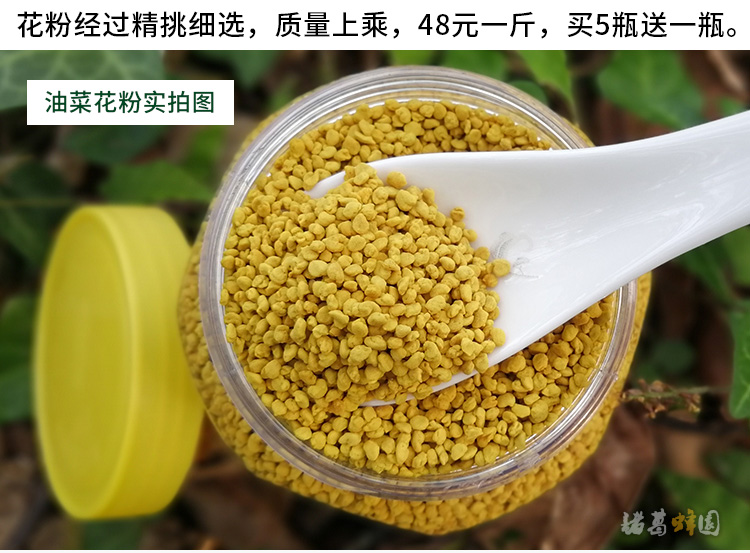 19年新鲜食用活性油菜花粉青海纯油菜蜂花粉500g天然自产正品花粉