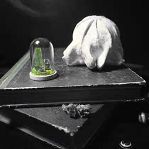 (Lingqi Creation Society) Childlike Innocence Series Double Twelve Green Crystal Raw Stone Demagnetization Purification Creative Design Gift