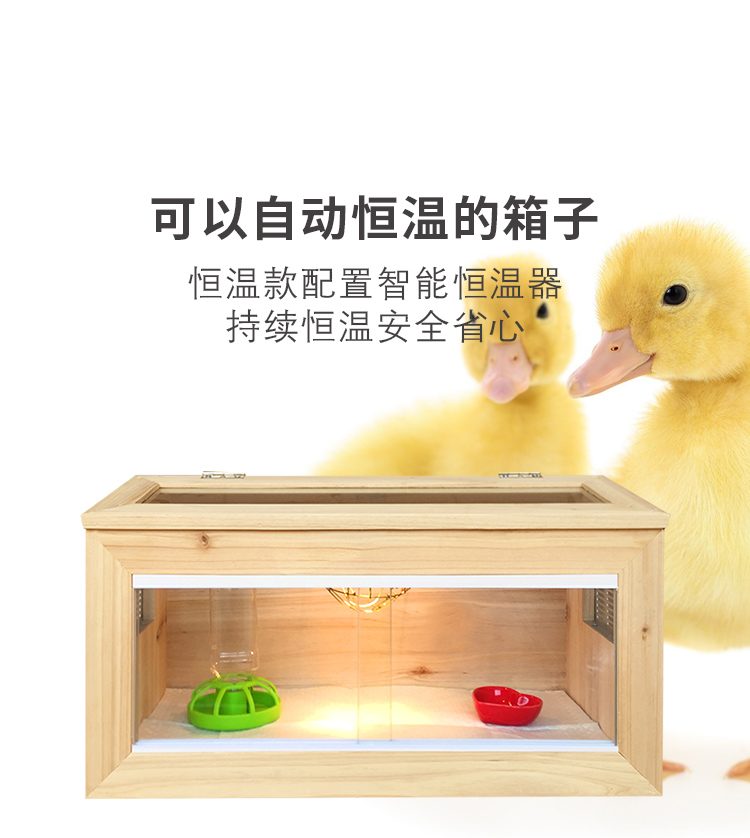 育雏保温箱小鸡柯尔鸭小鸭子鸽子鹦鹉雏鸟刺猬鹌鹑