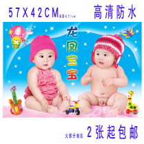 Baby poster photo pictorial beautiful dragon and phoenix male and female baby painting pregnant women twins teaching early education big picture wall stickers
