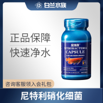 Niti Lizulated Bacterial Fish Tank With Digestive Bacteria Capsule Fish Tank Nitrobacteria Fish Tank Net Aqua Stabiliser Powder