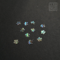 Snail flower five petal sunflower mouth flower New Zealand abalone shellfish painting workshop