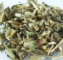 Chinese herbal medicine motherwort 500 grams dried motherwort tea new goods motherwort brown sugar ginger tea wild life