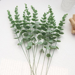 Ins style artificial flower eucalyptus leaf artificial flower decoration Nordic retro home decoration flower plastic flower and green plant decoration