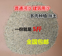 Yellow Sand River Sand Cement Sand Sandy Black Cement White Cement Mortar With Sand Bulk 5 kg Cactus Flowers