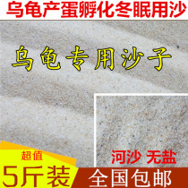 Turtle hibernating sand Turtle special sand-producing egg-sand and egg-nourishing turtle-in-the-kamelized turtle-cylinder undersand