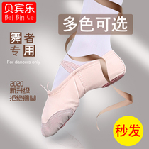 Young Children Dance Shoes Girl Soft-bottom Exercises Male Body Cat Paw Shoes Dancing Yoga Adults China Dance Ballet