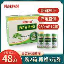 Xiji celery juice drink Light fasting meal replacement fruit and vegetable juice 250ml*12 bottles sugar-free plant compound fruit and vegetable juice