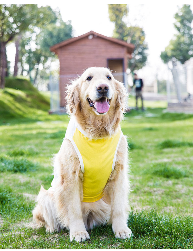 金毛大狗狗衣服卫衣大型犬春秋薄款中型犬萨摩耶柴犬拉布拉多宠物