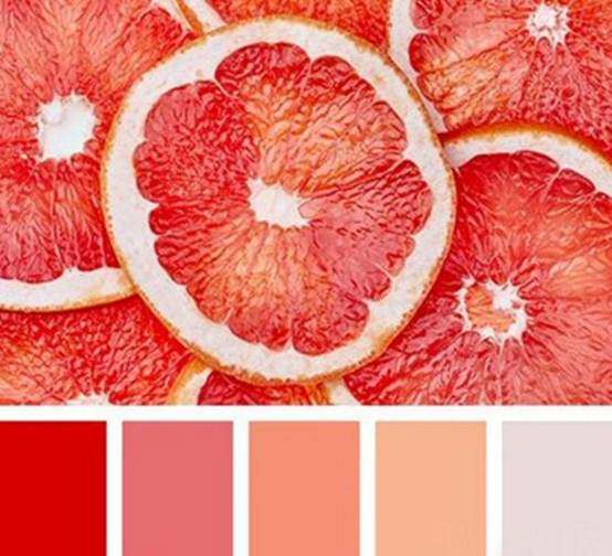 把西柚的颜色放在脸上竟然那么美?