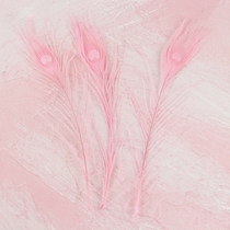 lns wind pink peacock feather cake decoration flamingo insert Feather Birthday Party Arrangement Dress