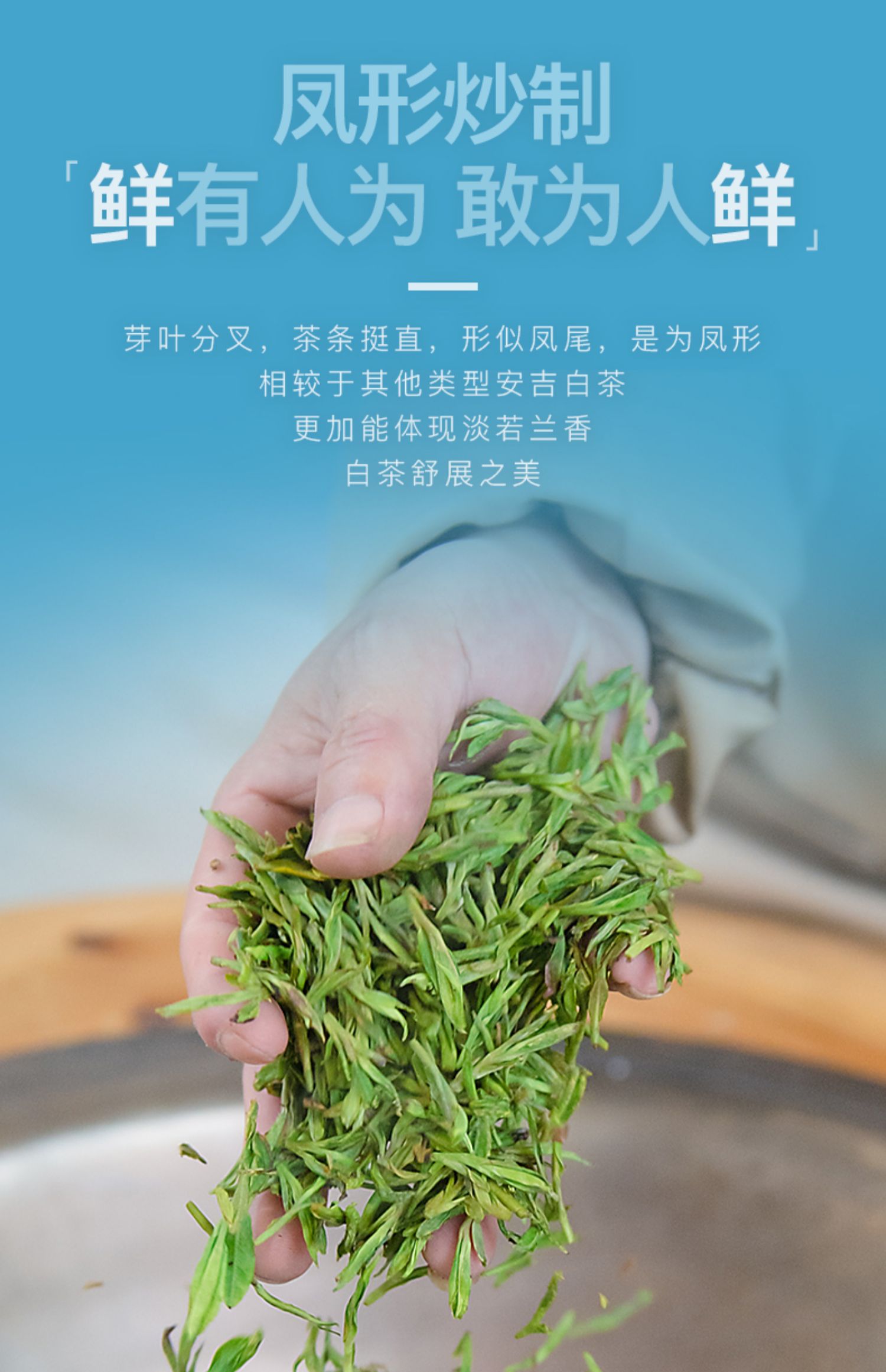 艺福堂鲜爽清甜特级安吉白茶100g