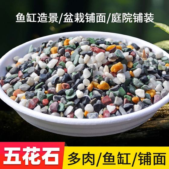 Special sand for natural colored stone fish tank for bottom sand for succulent potted plants for floor stone colorful stone rain flower stone raw stone bottom sand
Special sand for natural colored stone fish tank for bottom sand for succulent potted plants for floor stone colorful stone rain flower stone raw stone bottom sand