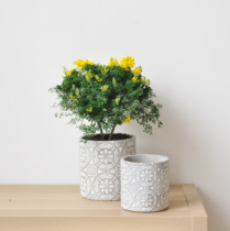 Nine-thought relief flower pattern cement flower pot modern multimeat plant green planting potted plant design floral P006