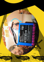 Ztezte ZTE WP658 WP623 GSM fixed wireless telephone lithium battery 2000mAh