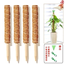 Tortoise Back Bamboo Support Rod Large Leaf Turquoise Support Post Coconut Palm Brown Stick Palm Pillar Palm Column Climbing Vines Support Fixed Mount