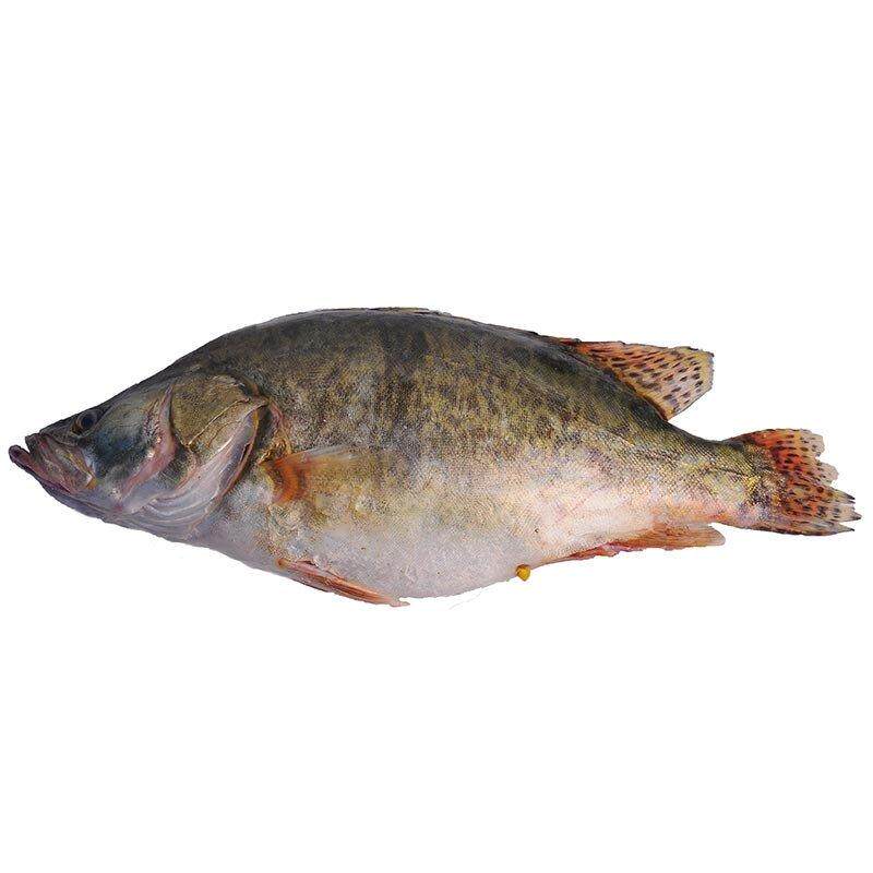  西湖醋鱼 ,活杀桂鱼