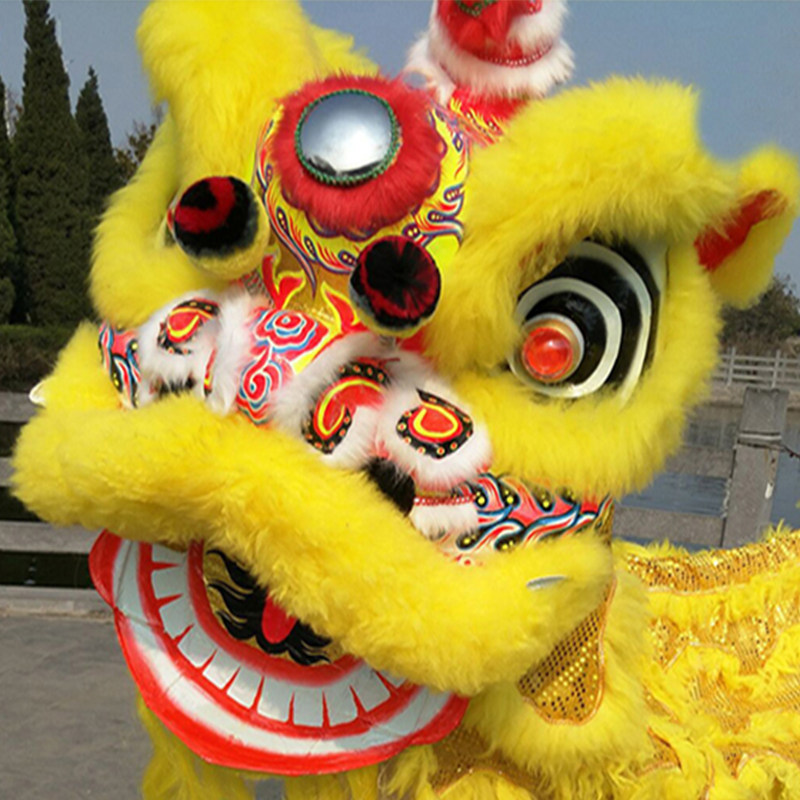 舞獅道具整套北京獅成人社火雙人款舞獅子的獅子頭高檔犛牛毛醒獅