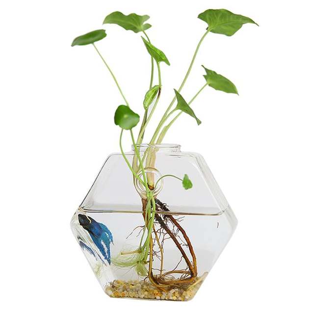 Handmade glass vase floral ornaments creative living room transparent hydroponic flower home decorative gardening Handmade glass vase floral ornaments creative living room transparent hydroponic flower home decorative gardening