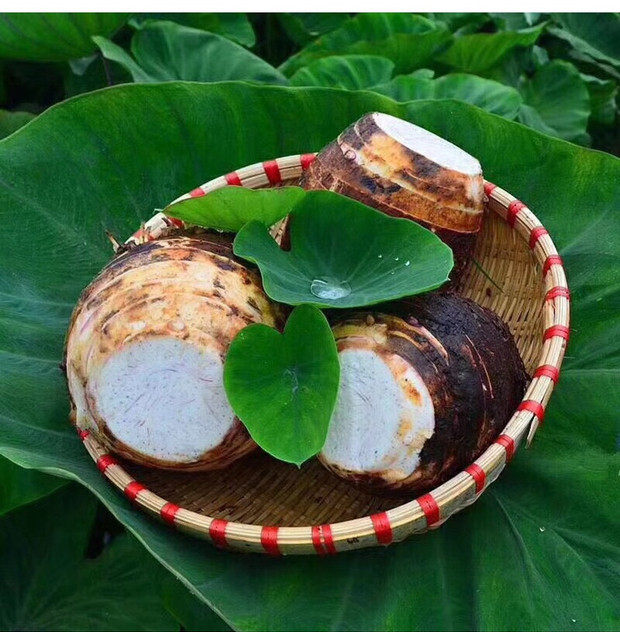 香芋广西正宗荔浦新鲜芋头整箱10斤紫藤毛芋芋头