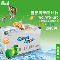 Bailey WC WD-250 horizontal glass door freezer supermarket shop shop refrigerated frozen ice cream drink display cabinet