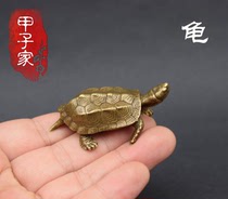 (Treasure Utortoise) Town Residence The tortoise (chia seeds) of the longevity of the property