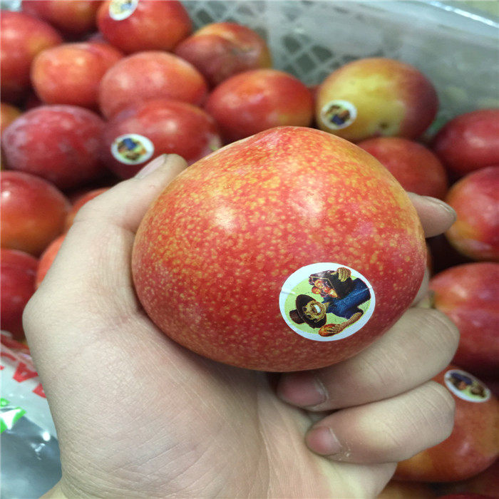 澳洲进口珠宝李红布林新鲜水果黄布林恐龙蛋3斤顺丰包邮_8折现价98.