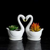 Multi-meat flower pot Ceramic Cute Swan Mini Cute ANIMAL CREATIVE POTTED PET STYLING CARTOON MULTI-MEAT FLOWER POT
