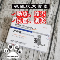 Pet gentamicin sulfate injection dog cat enteritis dog diarrhea dysentery diarrhea diarrhea postpartum infection dog dysentery