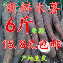 Fresh bread cassava now Dig Red Skin White Meat Edible tree Glutinous Sweet Potato sugar Water Potato Specie Produce Vegetables 5 catties