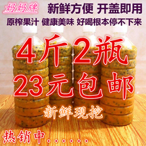 Guangxi Thyme Pulp 4 Catty of Pepsi Jam Thyme Original Pulp Frozen Bagel Juice Fresh and Freshly Dug